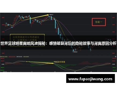 世界足球明星离婚风波揭秘：感情破裂背后的隐秘故事与背离原因分析