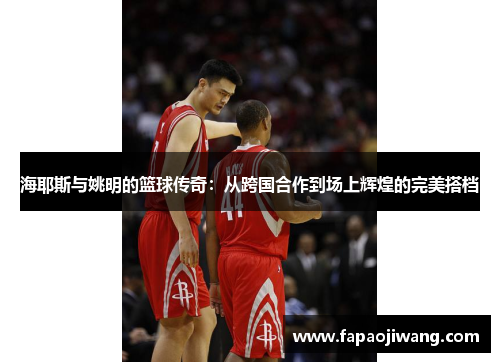 海耶斯与姚明的篮球传奇：从跨国合作到场上辉煌的完美搭档