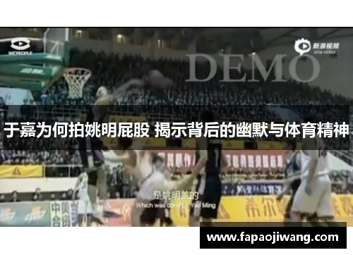 于嘉为何拍姚明屁股 揭示背后的幽默与体育精神