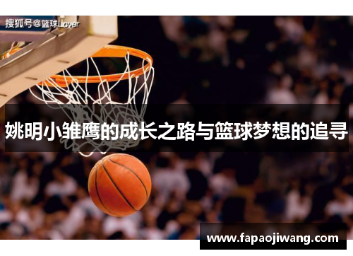 姚明小雏鹰的成长之路与篮球梦想的追寻